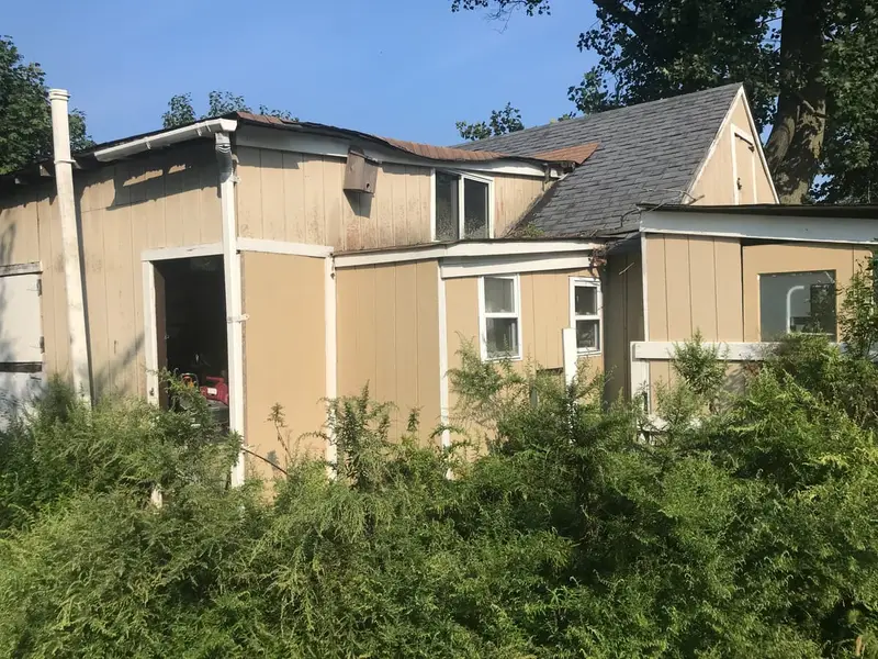 Weathered additions behind tall weeds, Smithtown, NY