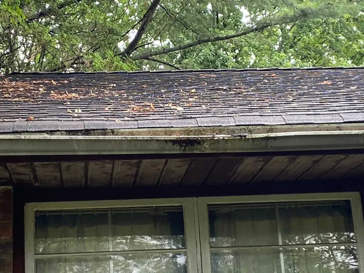 Selling a storm-damaged house in Smithtown: worn roof shingles and stained gutter over windows